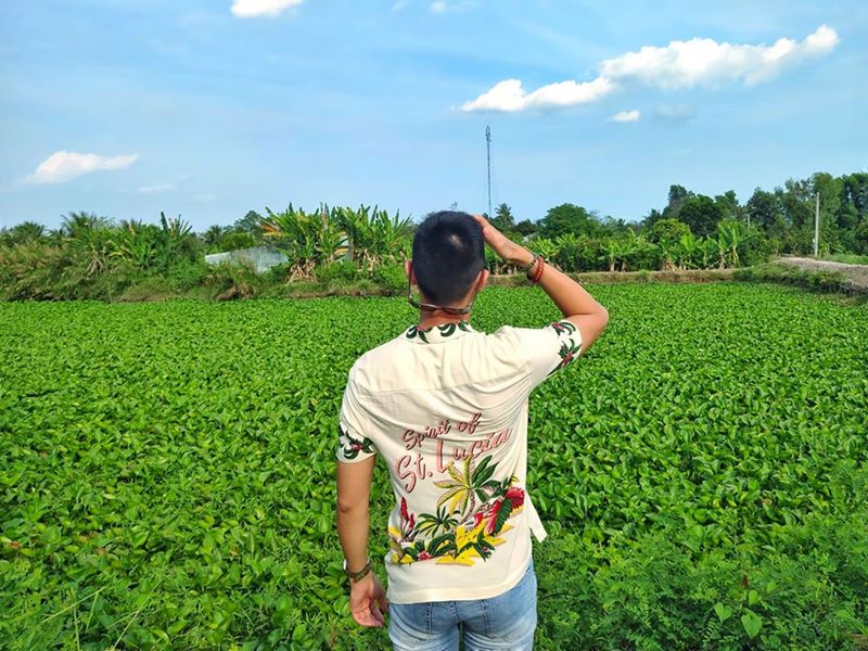 Du lịch ngược về miền đất Tiền Giang Cần Thơ để tận hưởng cái không khí trong lành của cỏ cây và cái thanh bình của nhịp sống chậm rãi Du lịch ngược về miền đất Tiền Giang Cần Thơ để tận hưởng cái không khí trong lành của cỏ cây và cái thanh bình của nhịp sống chậm rãi