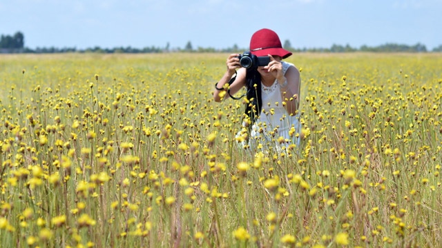 Du lịch Đồng Tháp: Một góc cánh đồng hoa. Thật không dễ để chụp được hình đẹp ở nơi đây, khi khung cảnh thật luôn đẹp hơn trong hình Du lịch Đồng Tháp: Một góc cánh đồng hoa. Thật không dễ để chụp được hình đẹp ở nơi đây, khi khung cảnh thật luôn đẹp hơn trong hình