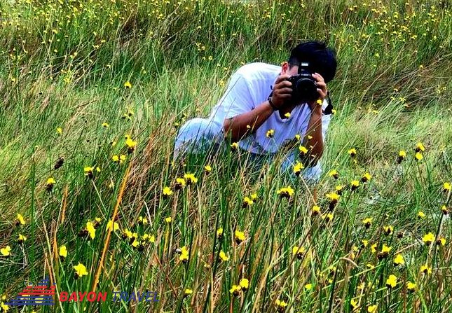 Du lịch Đồng Tháp: Công việc được ưa thích nhất tại cánh đồng hoa Hoàng đầu ấn Du lịch Đồng Tháp: Công việc được ưa thích nhất tại cánh đồng hoa Hoàng đầu ấn