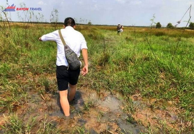 Du lịch Đồng Tháp: Phải lội qua một cánh đồng cỏ năng ngập sình và nước bạn mới đến được cánh đồng hoa dại màu vàng Du lịch Đồng Tháp: Phải lội qua một cánh đồng cỏ năng ngập sình và nước bạn mới đến được cánh đồng hoa dại màu vàng