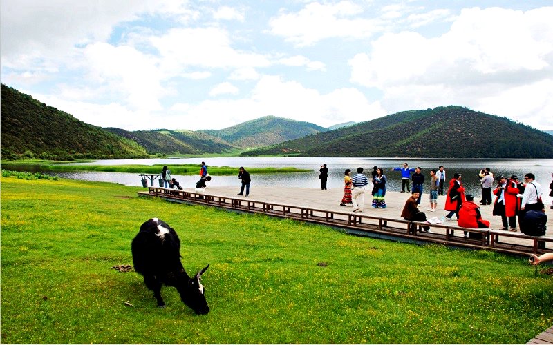 Vẻ đẹp của công viên Potatso trong ống kính của du khách đi tour du lịch Lệ Giang cổ trấn (Ảnh sưu tầm) Vẻ đẹp của công viên Potatso trong ống kính của du khách đi tour du lịch Lệ Giang cổ trấn (Ảnh sưu tầm)