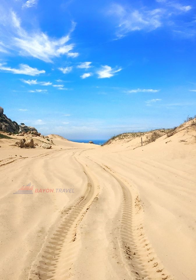 Chiêm ngưỡng vẻ đẹp hoang sơ của đồi cát tại khu du lịch Ninh Chữ Bình Hưng Chiêm ngưỡng vẻ đẹp hoang sơ của đồi cát tại khu du lịch Ninh Chữ Bình Hưng