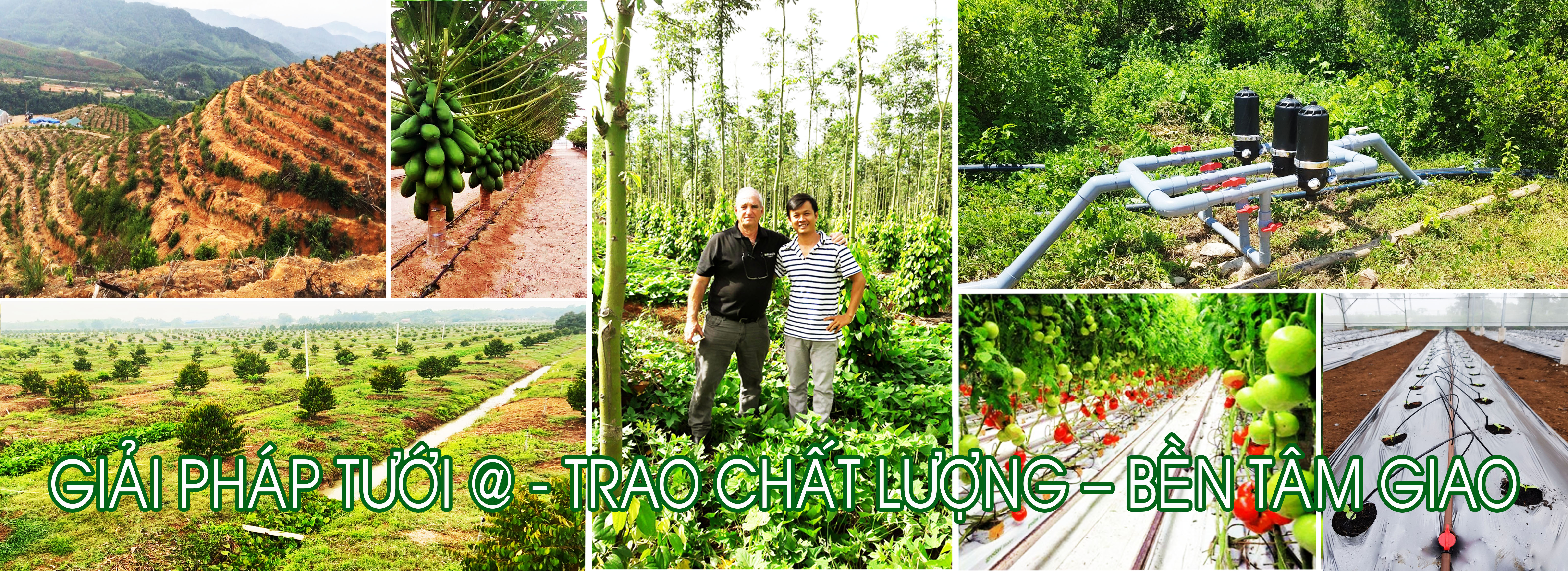 Giải đáp các vấn đề thiết kế hệ thống tưới