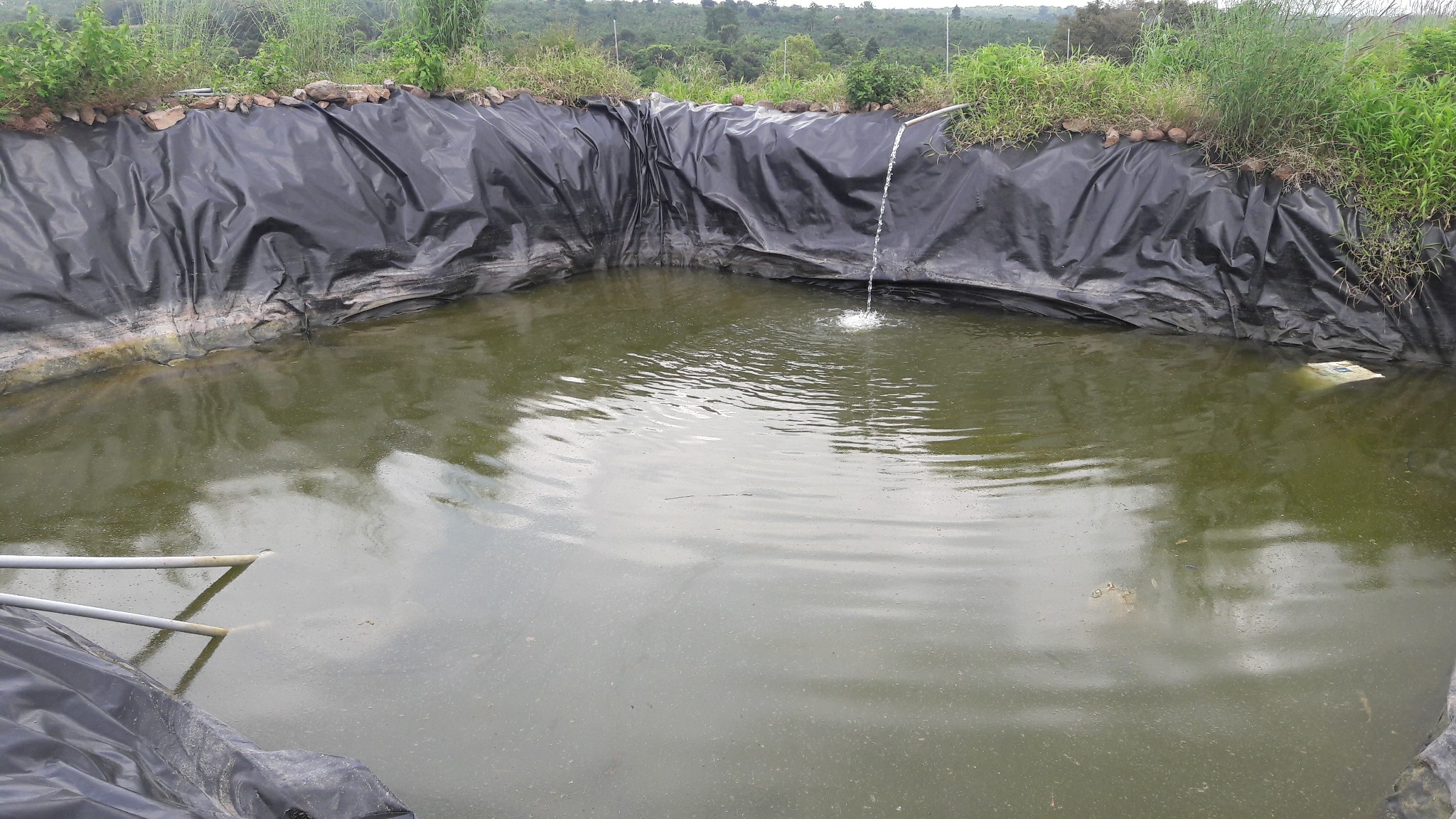 Bạt lót hồ HDPE Bạt lót hồ HDPE