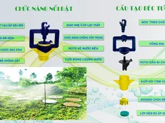 NHỮNG ĐẶC ĐIỂM NỔI BẬT CỦA BÉC GX BẠN CẦN BIẾT