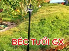 LÀM THẾ NÀO ĐỂ CHỌN BÉC TƯỚI PHÙ HỢP CHO VƯỜN CÂY ĂN TRÁI CỦA BẠN