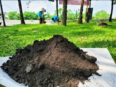 PHÂN HỮU CƠ RÁC CHỢ GIÁ RẺ