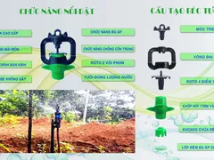 Béc tưới cây bù áp là gì?
