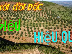 DỰ ÁN TƯỚI SIÊU ĐỒI DỐC CAO TRÊN 70M TƯỚI CHO 5 HECTA TẠI ĐAKNONG