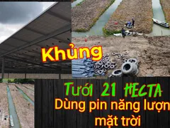 DỰ ÁN TƯỚI PHỦ KÍN 21 HECTA DÙNG PIN NĂNG LƯỢNG MẶT TRỜI TẠI LONG AN