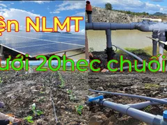 TƯỚI 20 HECTA CHUỐI DÙNG ĐIỆN NĂNG LƯỢNG MẶT TRỜI