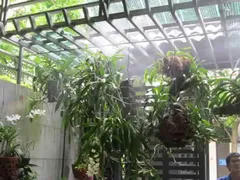 BÉC CHỐNG CÔN TRÙNG TƯỚI PHUN MƯA CHO VƯỜN LAN