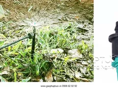 CÁCH GẮN BÉC CHỐNG CÔN TRÙNG HỢP LÝ