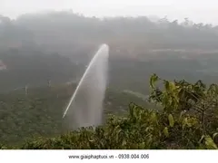 SÚNG TƯỚI CÂY CHO CÀ PHÊ