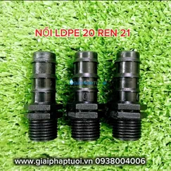 NỐI ỐNG PE 20MM REN NGOÀI 21MM