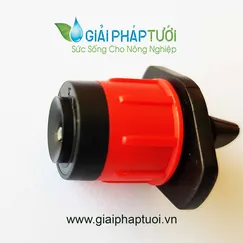 ĐẦU BÉC XÒE 360 ĐỘ