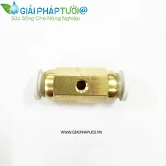 ĐẾ GIỮA BÉC PHUN SƯƠNG ĐÀI LOAN