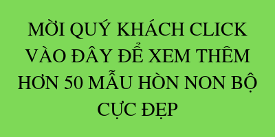 Cách Thiết Kế Và Thi Công Hồ Cá Nam Bộ Làm Đẹp Cho Ngôi Nhà