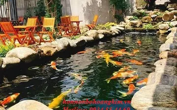 Nhận Thiết Kế Và Thi Công Hồ Non Bộ Trong Nhà Giá Rẻ Và Chất Lượng