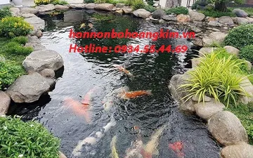 Thiết Kế Hòn Nam Bộ Ngoài Trời Giúp Nâng Tầm Đẳng Cấp Của Ngôi Nhà