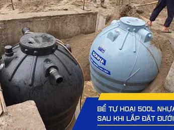 Cách lắp Bồn tự hoại: Hướng dẫn từ khảo sát đến vận hành hiệu quả