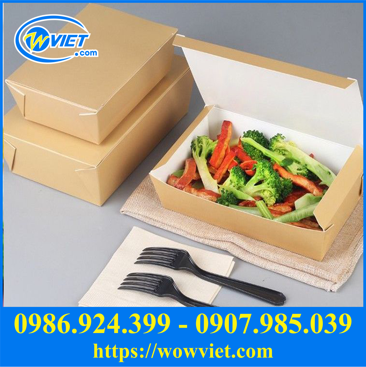 hop dung salad mang ve