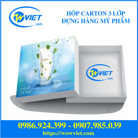 hộp carton 3 lớp đựng hàng mỹ phẩm wowviet hộp carton 3 lớp đựng hàng mỹ phẩm wowviet