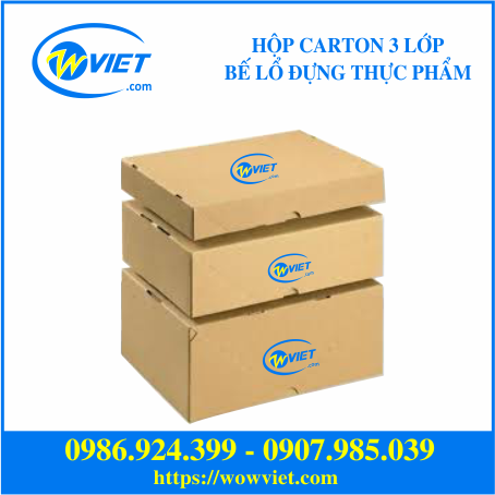 hộp carton 3 lớp bế lổ đựng thực phẩm wowviet hộp carton 3 lớp bế lổ đựng thực phẩm wowviet