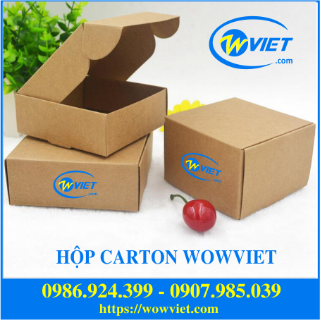 hộp carton wowviet hộp carton wowviet