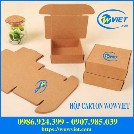 hộp carton wowviet1 hộp carton wowviet1
