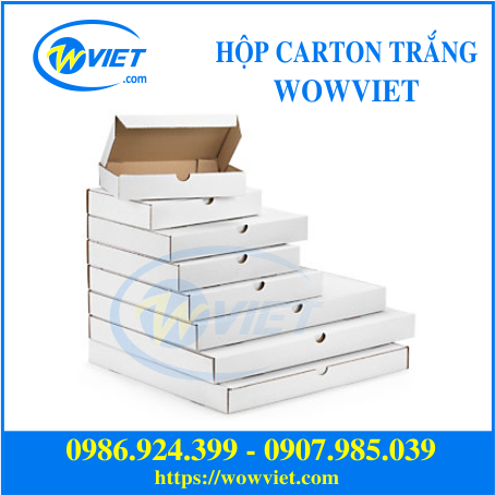hộp carton trắng wowviet1 hộp carton trắng wowviet1