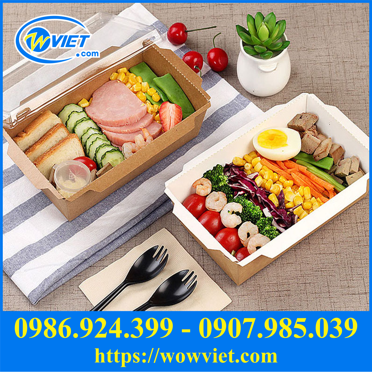 hop dung salad mang ve