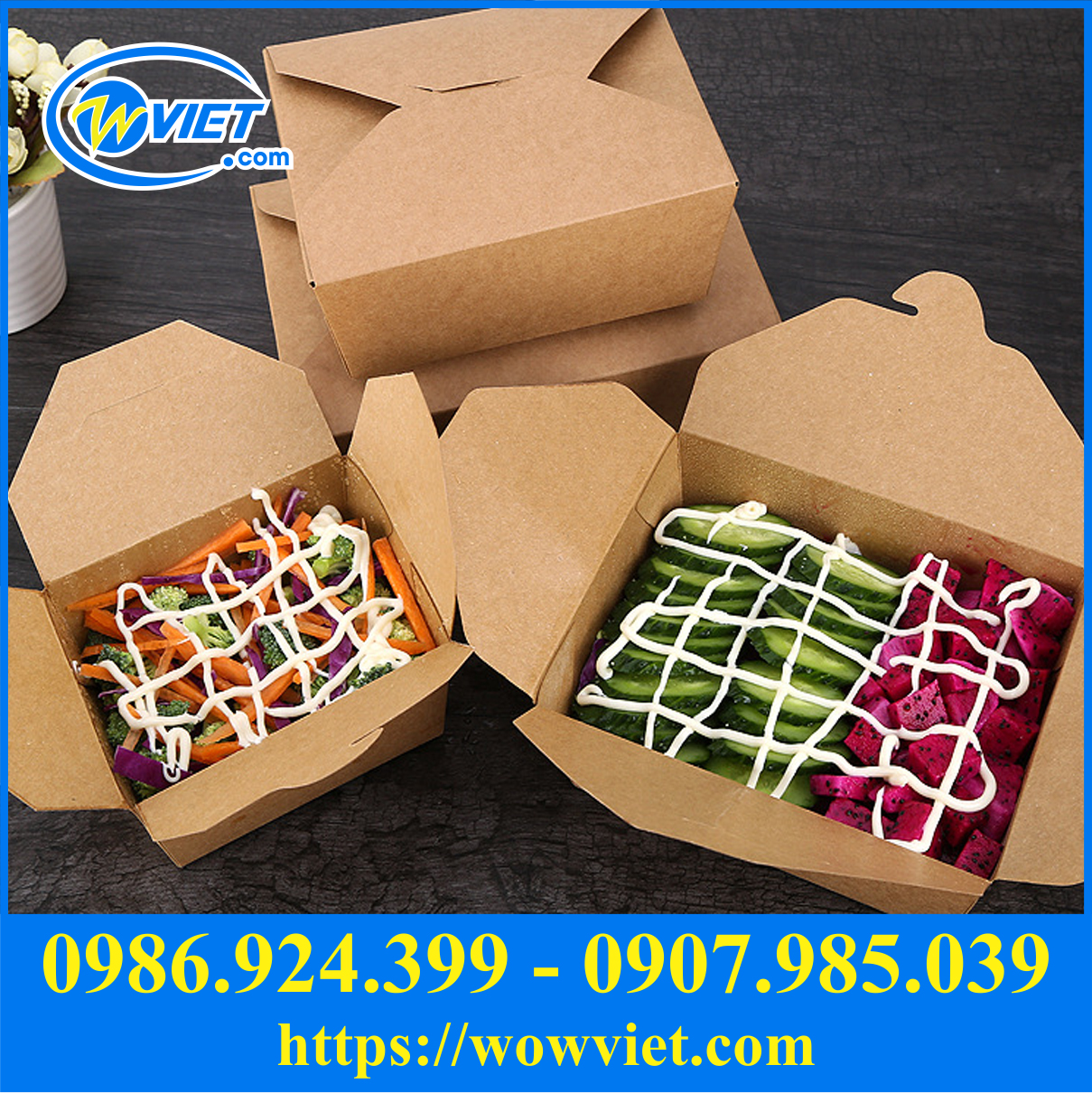 hop dung salad mang ve