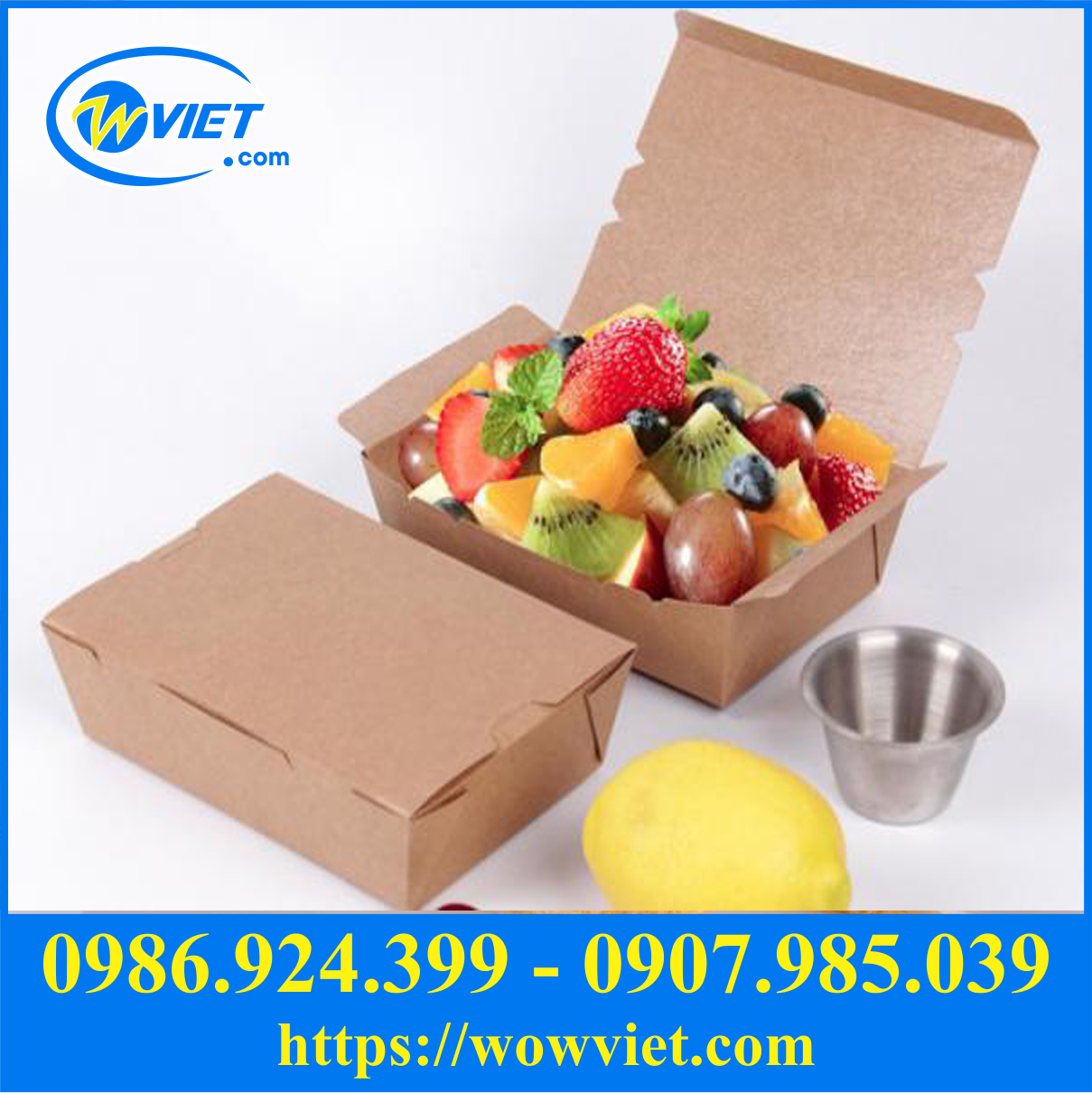 hop giay dung trai cay mang di