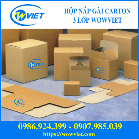hộp nắp gài carton 3 lớp wowviet 1 hộp nắp gài carton 3 lớp wowviet 1