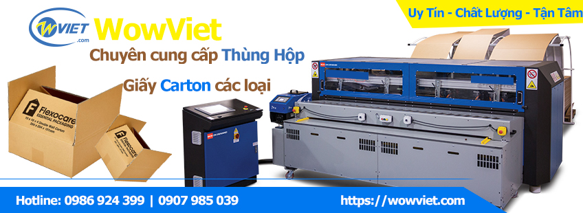 Nhà xưởng máy móc sản xuất bao bì carton WoViet