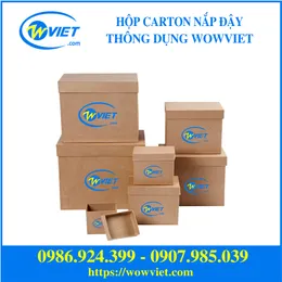 Hộp carton nắp đậy