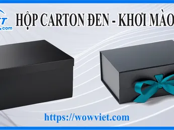 HỘP CARTON ĐEN – KHƠI MÀO BÍ ẨN