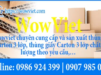 Thùng giấy carton 3 lớp wowviet