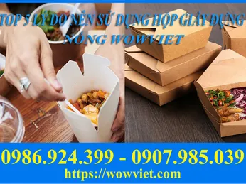 TOP 5 LÝ DO NÊN SỬ DỤNG HỘP GIẤY ĐỰNG THỨC ĂN NÓNG WOWVIET