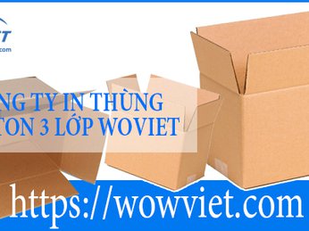Công ty in thùng carton 3 lớp Wowviet