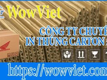 Công ty in thùng carton 5 lớp