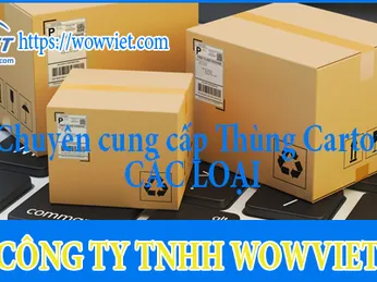 CÔNG TY TNHH WOWVIET