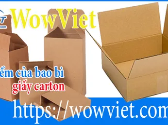 Đặc điểm của bao bì giấy carton