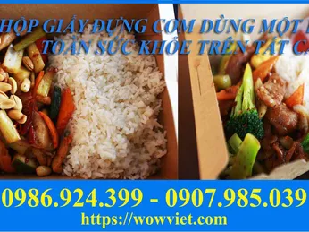 HỘP GIẤY ĐỰNG CƠM DÙNG MỘT LẦN AN TOÀN SỨC KHỎE TRÊN TẤT CẢ