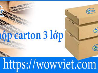 In hộp carton 3 lớp