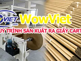 QUY TRÌNH SẢN XUẤT RA GIẤY CARTON