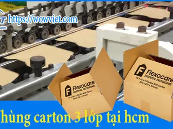 Thùng carton 3 lớp tại hcm