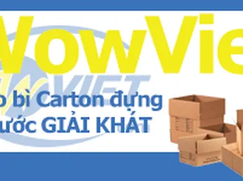 GIẢI PHÁP BAO BÌ THÙNG CARTON CHO NƯỚC GIẢI KHÁT