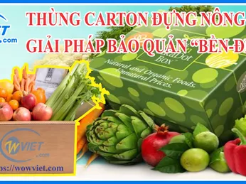 THÙNG CARTON ĐỰNG NÔNG SẢN - GIẢI PHÁP BẢO QUẢN “BỀN ĐẸP RẺ”